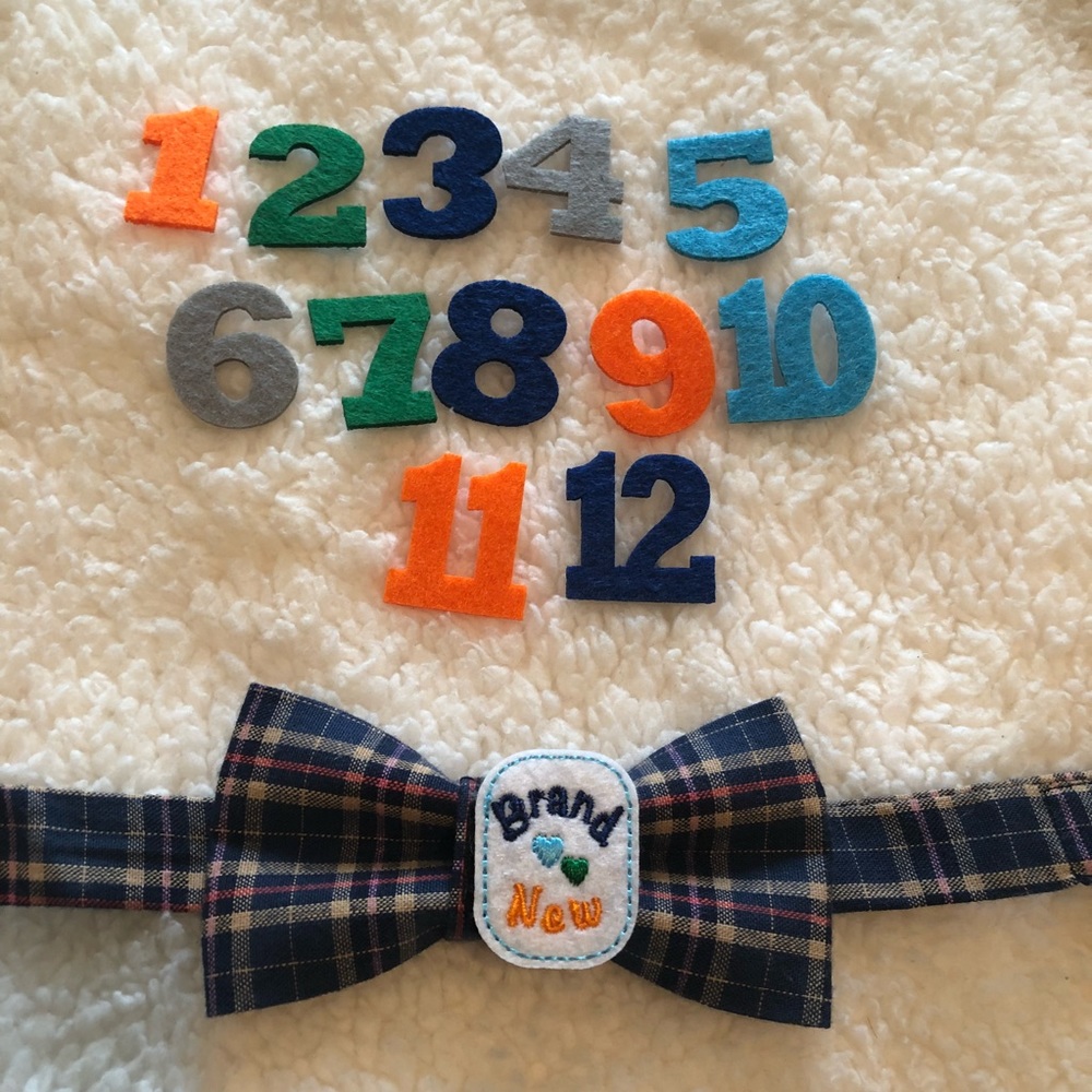 Milestone Bow Tie